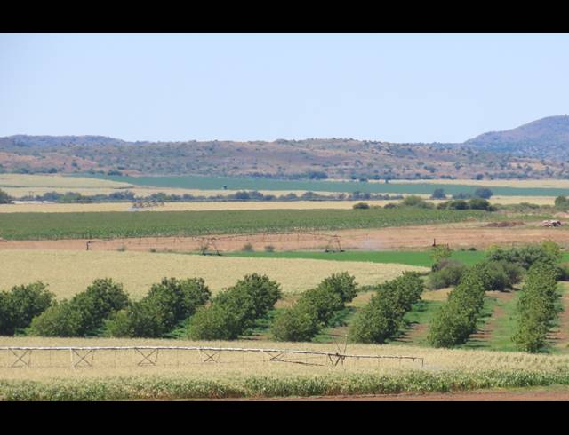 213HA FARM FOR SALE IN HOPETOWN RURAL